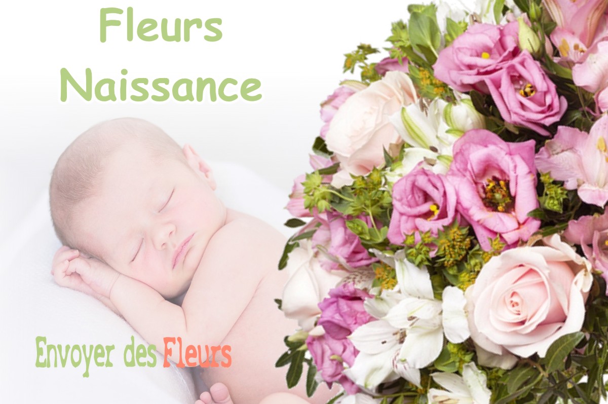 lIVRAISON FLEURS NAISSANCE à RIVES